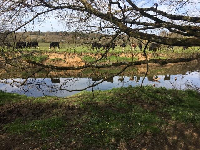 River Ely from Lanlay Meadows